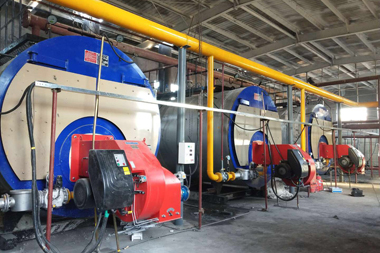 用于聚氨酯軟質泡沫的dpa反應型凝膠催化劑,提供良好的凝膠和發泡平衡